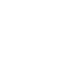 Q1