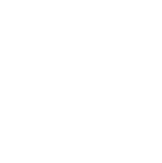 Q9