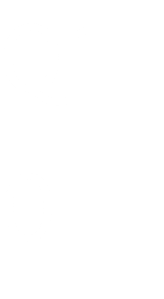 Q10