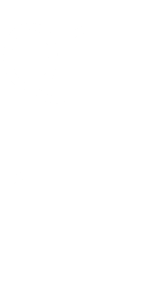 Q11